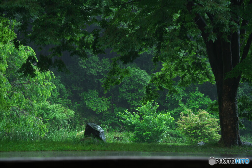 梅雨も近いな
