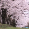 重ねてきた時間