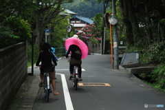 夏は往く