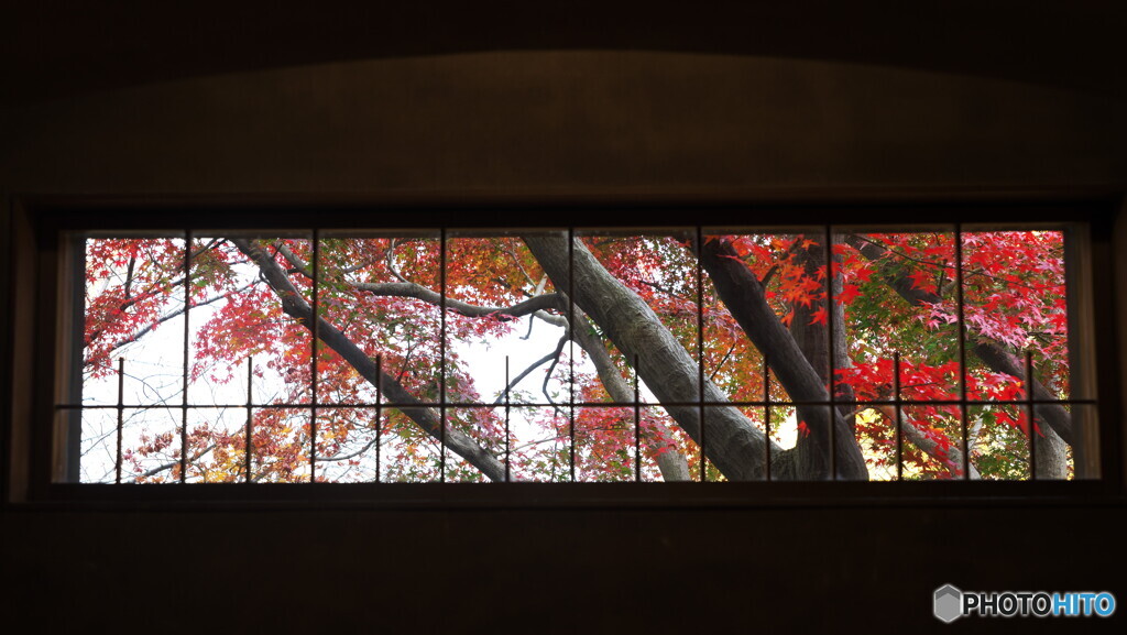 大佛次郎記念館よりⅠ