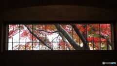 大佛次郎記念館よりⅠ