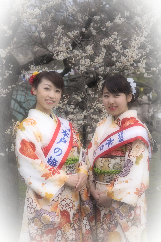 撮らせて頂きますⅡ（水戸偕楽園）