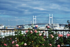 ベイブリッジが見える