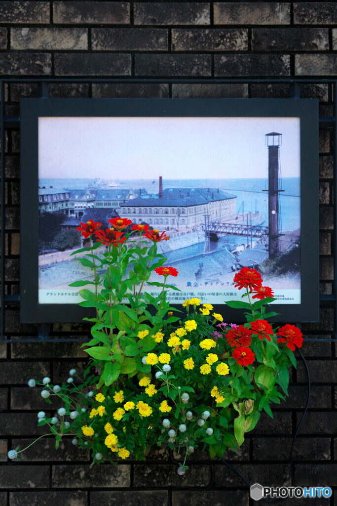 窓の向こうには