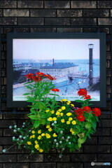 窓の向こうには