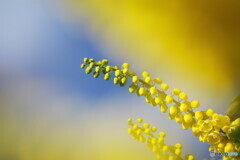 元気をもらえます