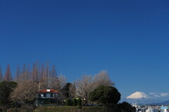 フェリス坂よりⅡ