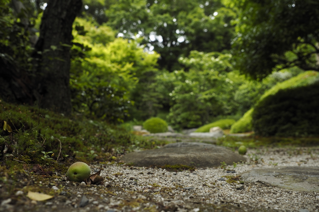 季節の予感