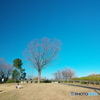 良いの撮れましたか33(唐沢公園)