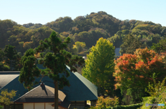 鎌倉Now10（浄妙寺）