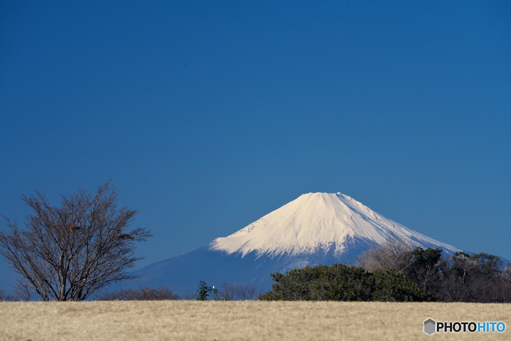 富士の見える丘