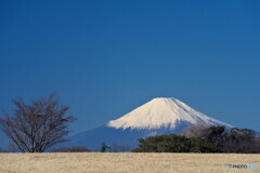 富士の見える丘