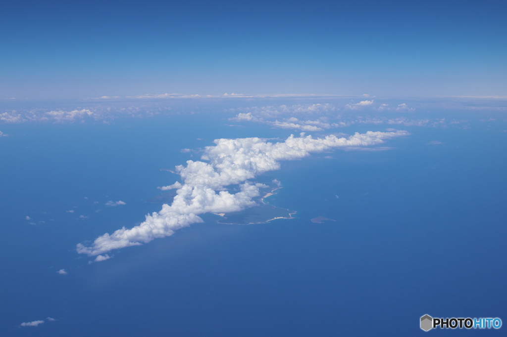 クロコダイル浮かぶ