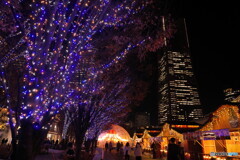 クリスマスマーケット出現Ⅱ