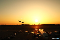 成田空港夕景