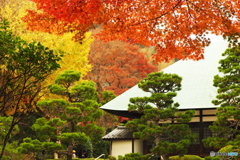 鎌倉Now10（浄妙寺）