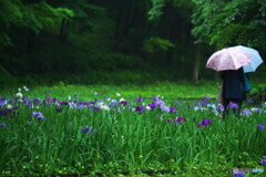 雨の中 良くいらっしゃいました