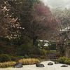 風情あり