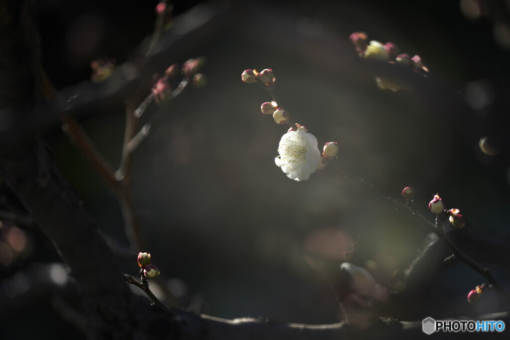 周りを生かして