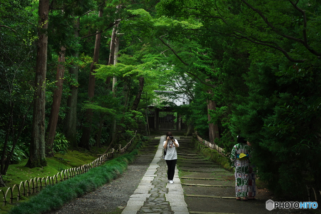 良いの撮れましたか37（寿福寺）