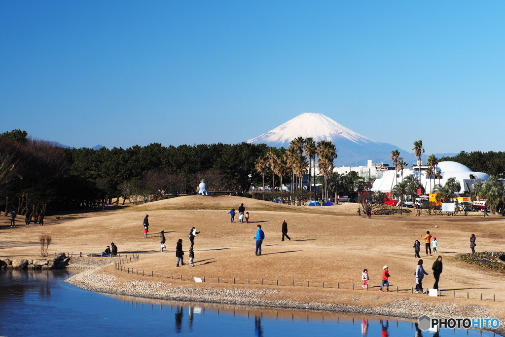 爽快富士（辻堂海浜公園）