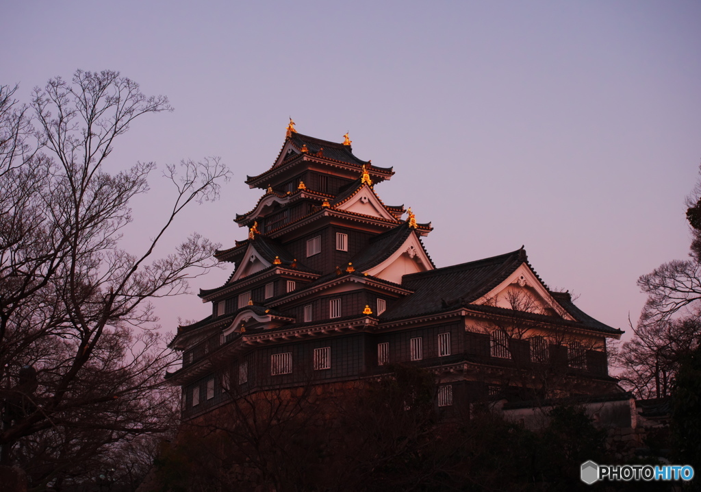 染まる岡山城