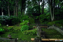 いつもと違う風景