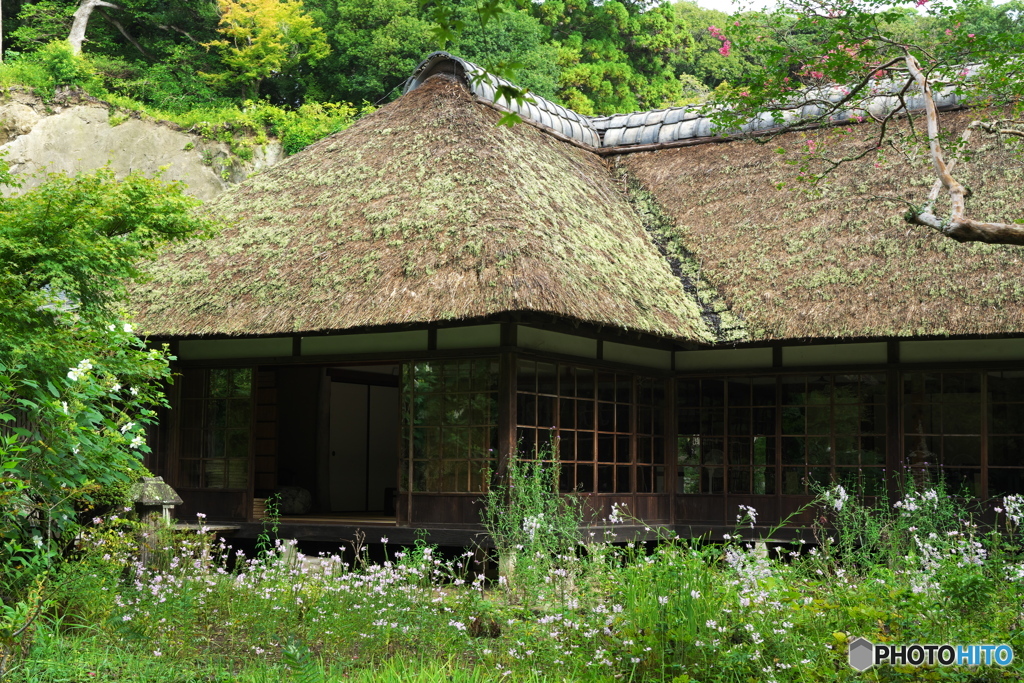 古刹にも秋Ⅳ