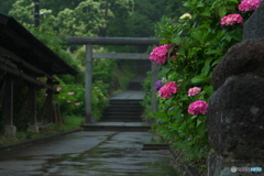 鎌倉NOW6（白山神社）