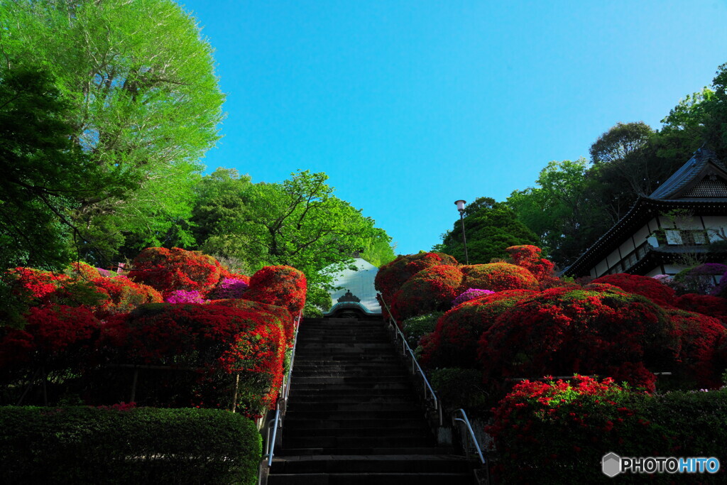 古刹華やぐⅡ