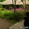 良いの撮れましたか38(浄智寺）