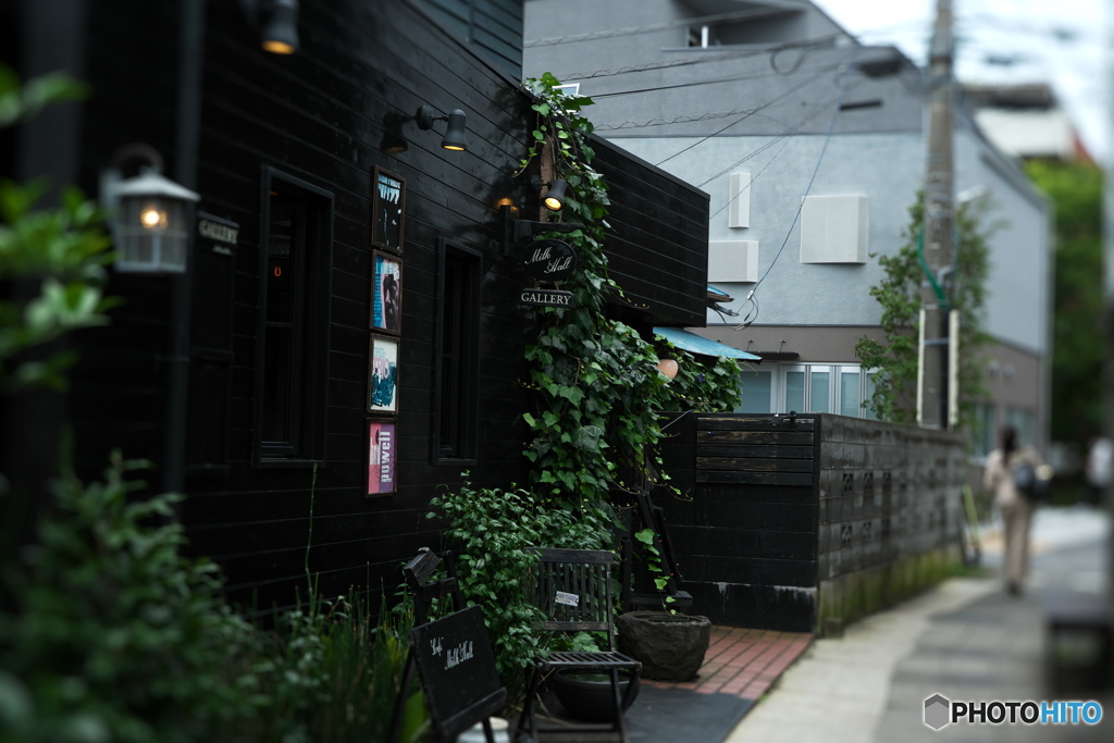 鎌倉路地裏