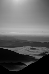 海