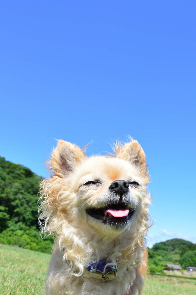 嗚呼快感