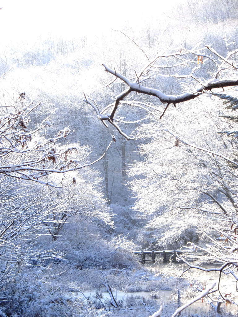 堤の雪景色