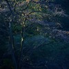 秋の夜明け