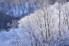 雪三景