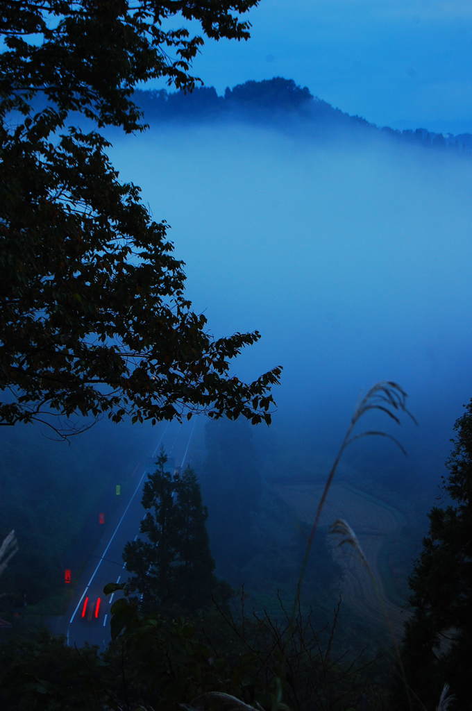 里山の夜明け