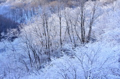 雪三景その３