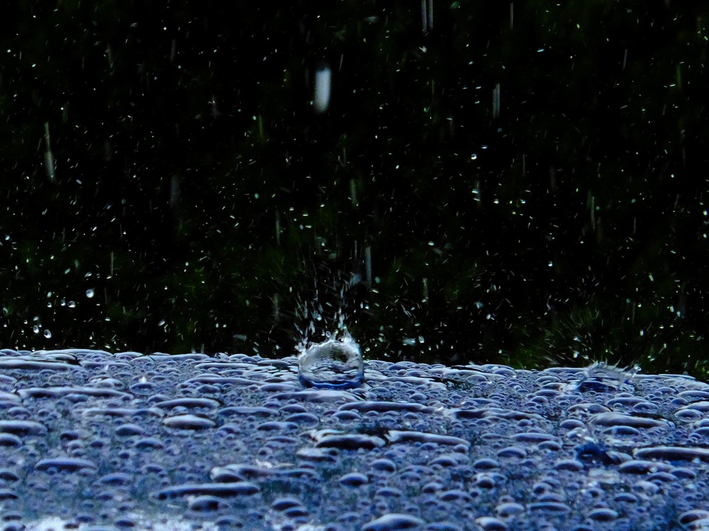 梅雨ばしり
