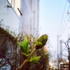 あと少し。