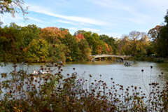 Autumn colors in Central Park