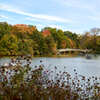 Autumn colors in Central Park