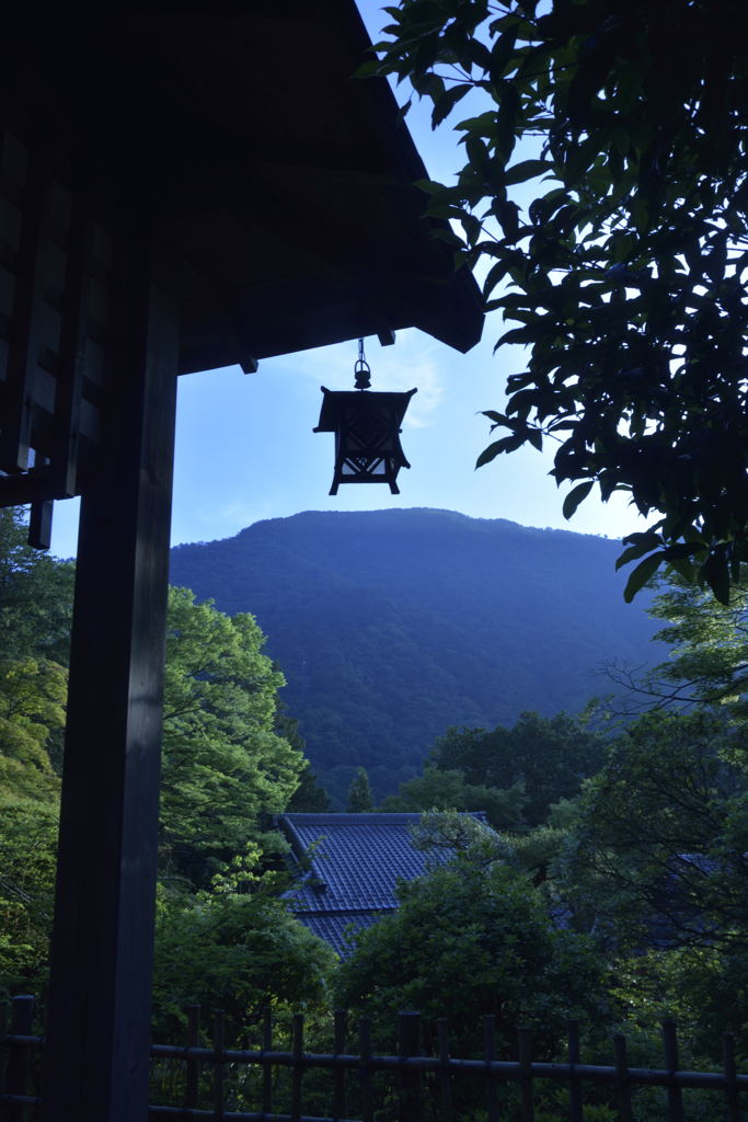 時間が止まる時