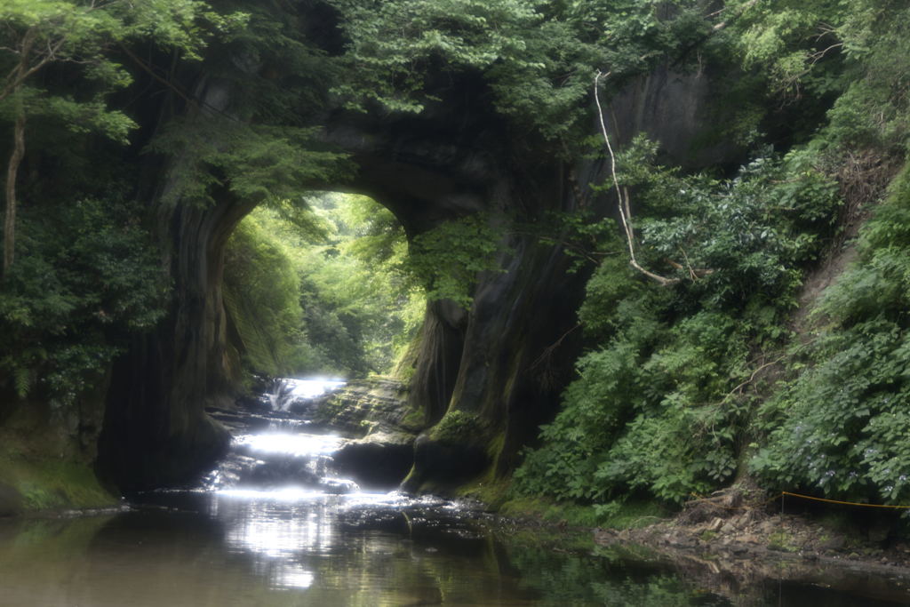 トンネルの先はトトロの世界