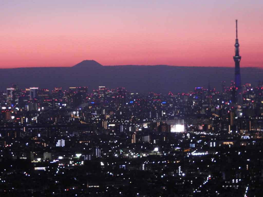 トワイライトモード　新宿