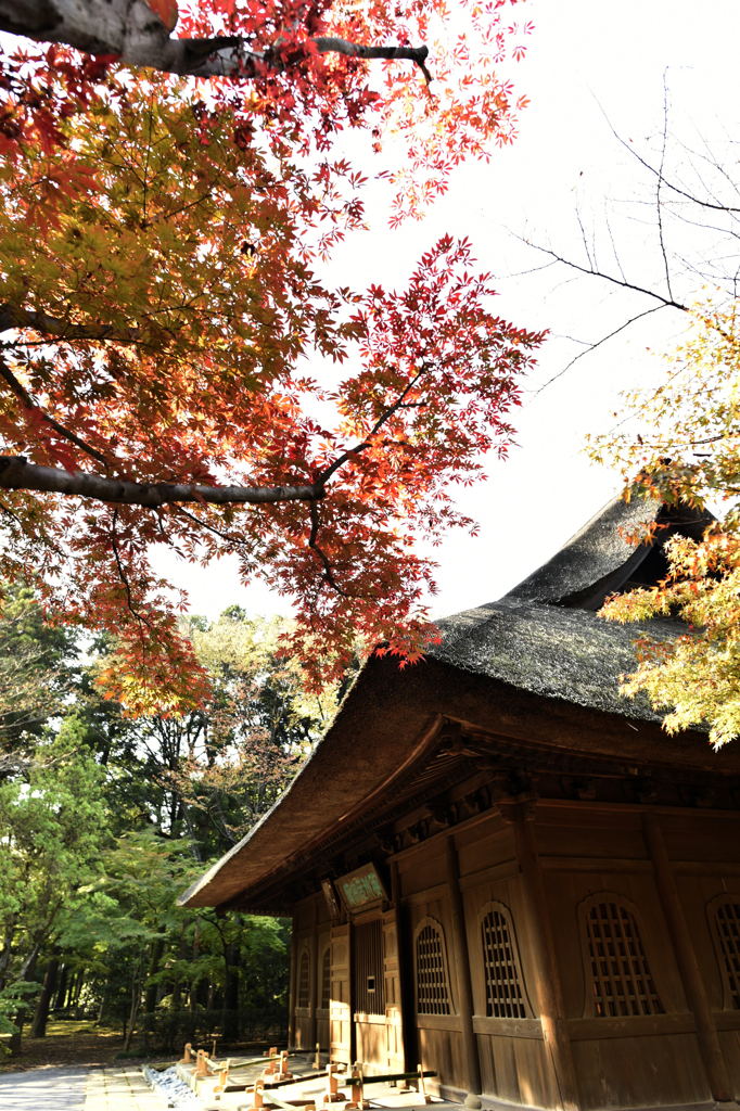 平林寺　見桃庵