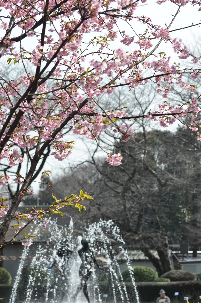 里見公園　紅梅 020