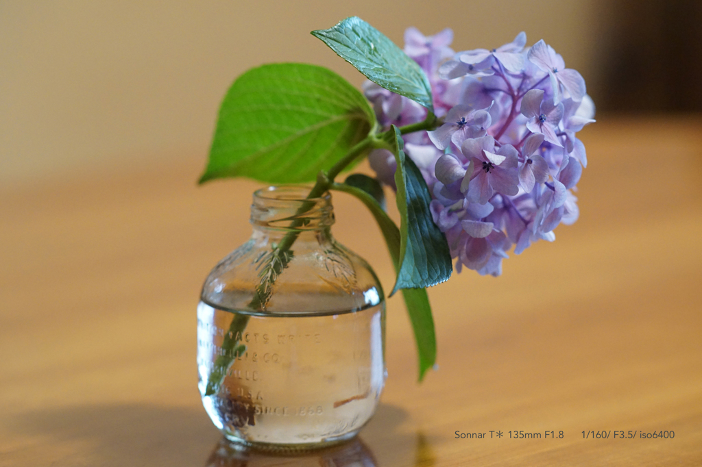 DSC09570