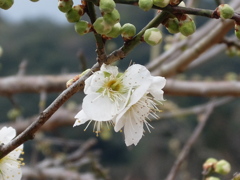 私もいるよ